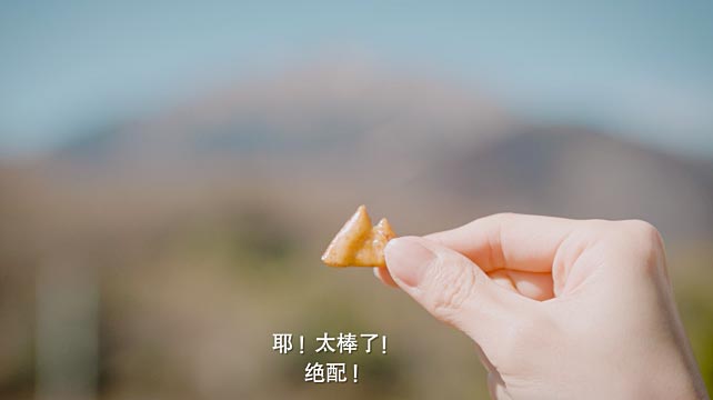 日產(chǎn)汽車(chē)與柿種餅干的故事！